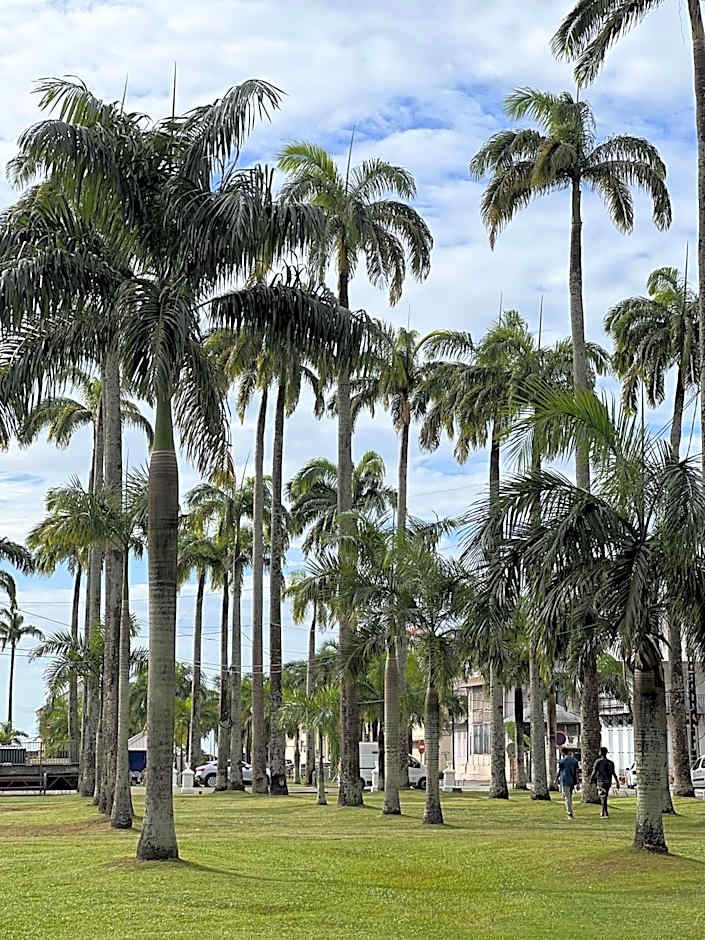 ibis Styles Cayenne Centre Amazonia