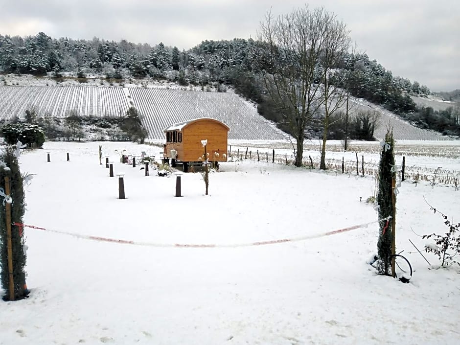 l'échappée belle en Champagne