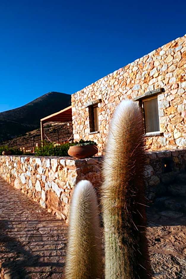 Phisis Nature Retreat