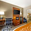 Comfort Inn South - Springfield