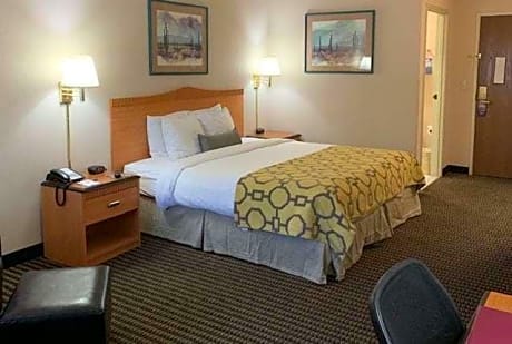 1 King Bed Mobility/Hearing Impaired Accessible Room Non-Smoking
