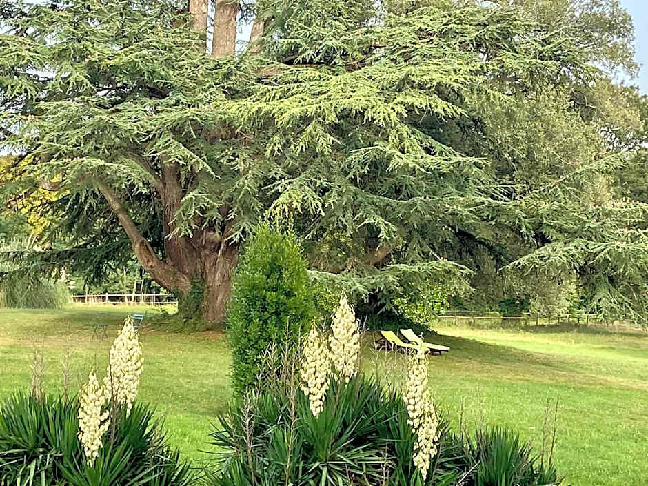 Photo 1 of 10 of Garden View