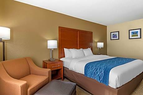 Efficiency King Room - Non-Smoking/Pet Friendly