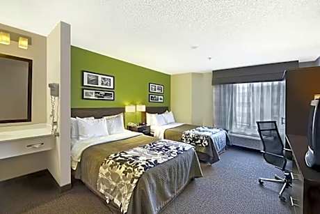 1 Queen Bed Non-Smoking  NQ1