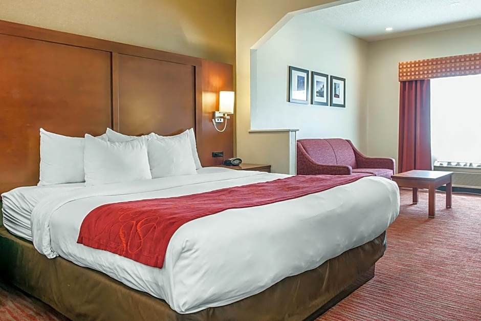 Comfort Suites Columbus Expo Center