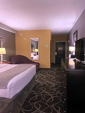 Deluxe ADA with One Queen Bed