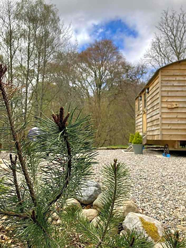 Highland Bear Lodge & Luxury Bear Huts