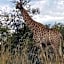 Zebula Golf and Wildlife Estate - Giraffe Plains Pax 4 - Moi Signature Luxury villa