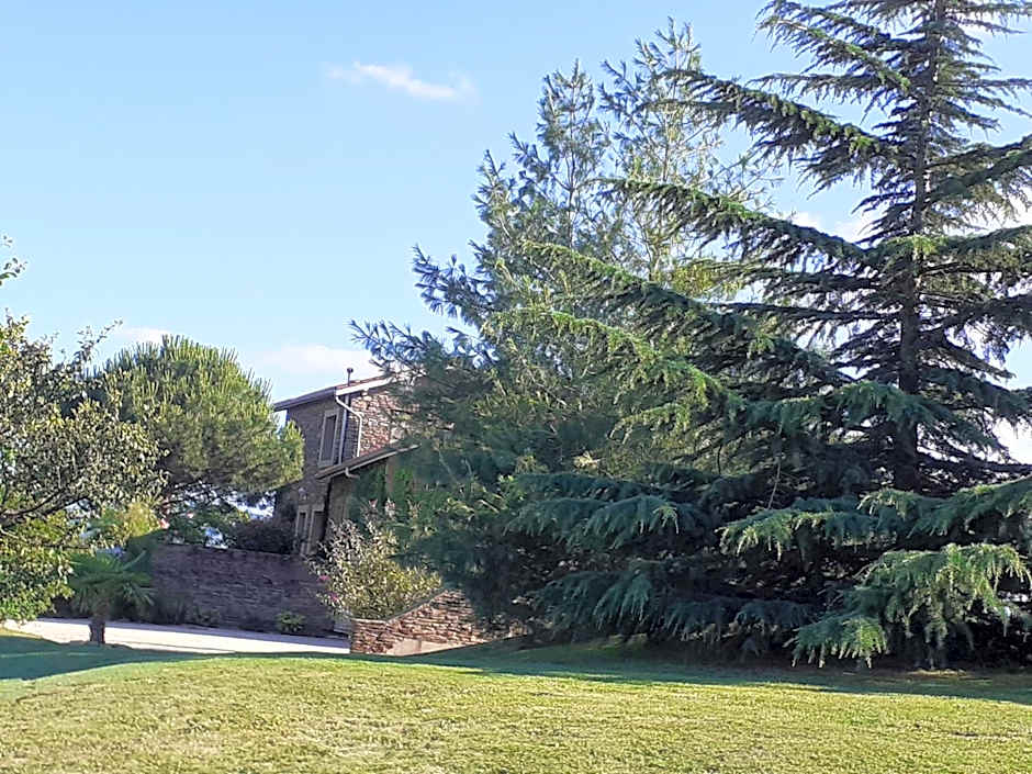 Relais de navon