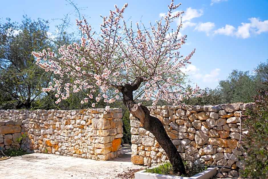 Masseria Montepaolo Dimora di Charme