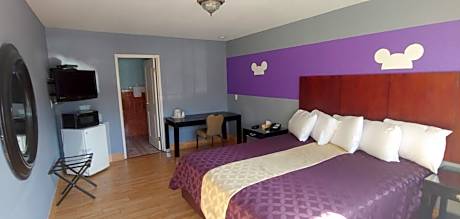 Single Room - Disability Access