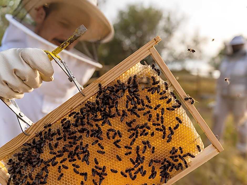São Lourenço do Barrocal