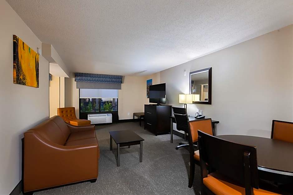 Wingate By Wyndham Atlanta Galleria Center