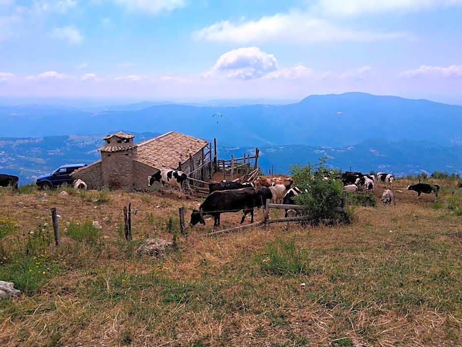 Hotel Monte Baldo
