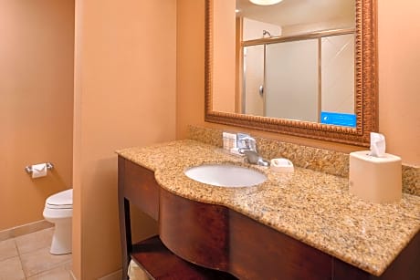 1 Queen Bed Nonsmoking