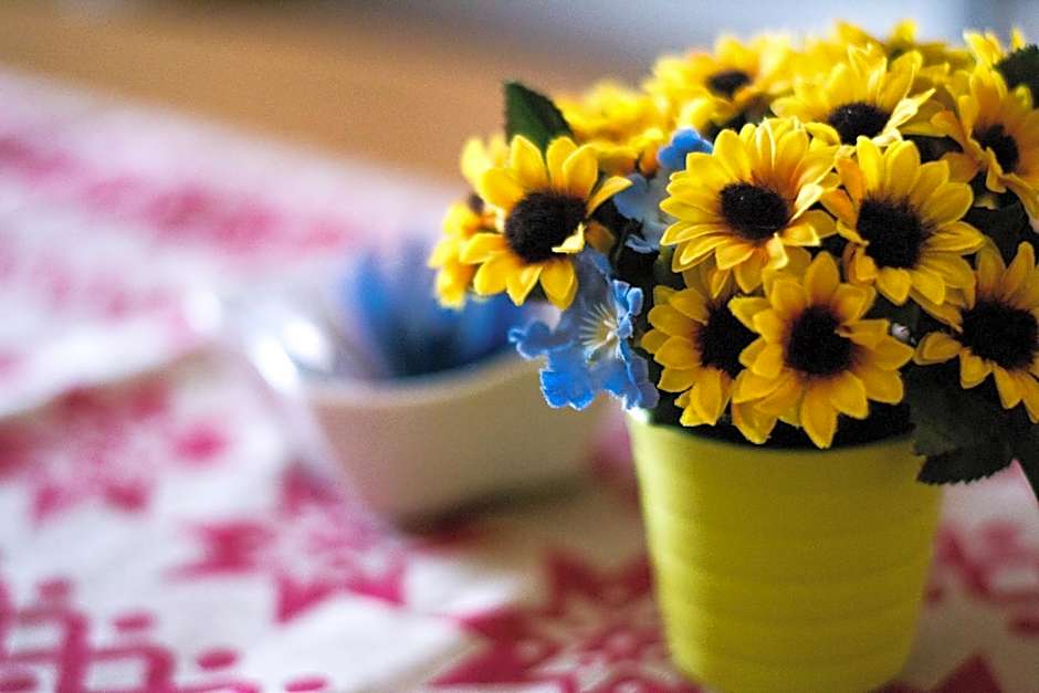 B&B Notti E Dintorni