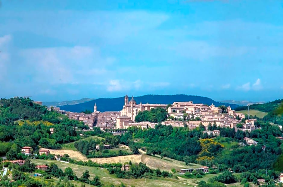 Calmancino delle Selve
