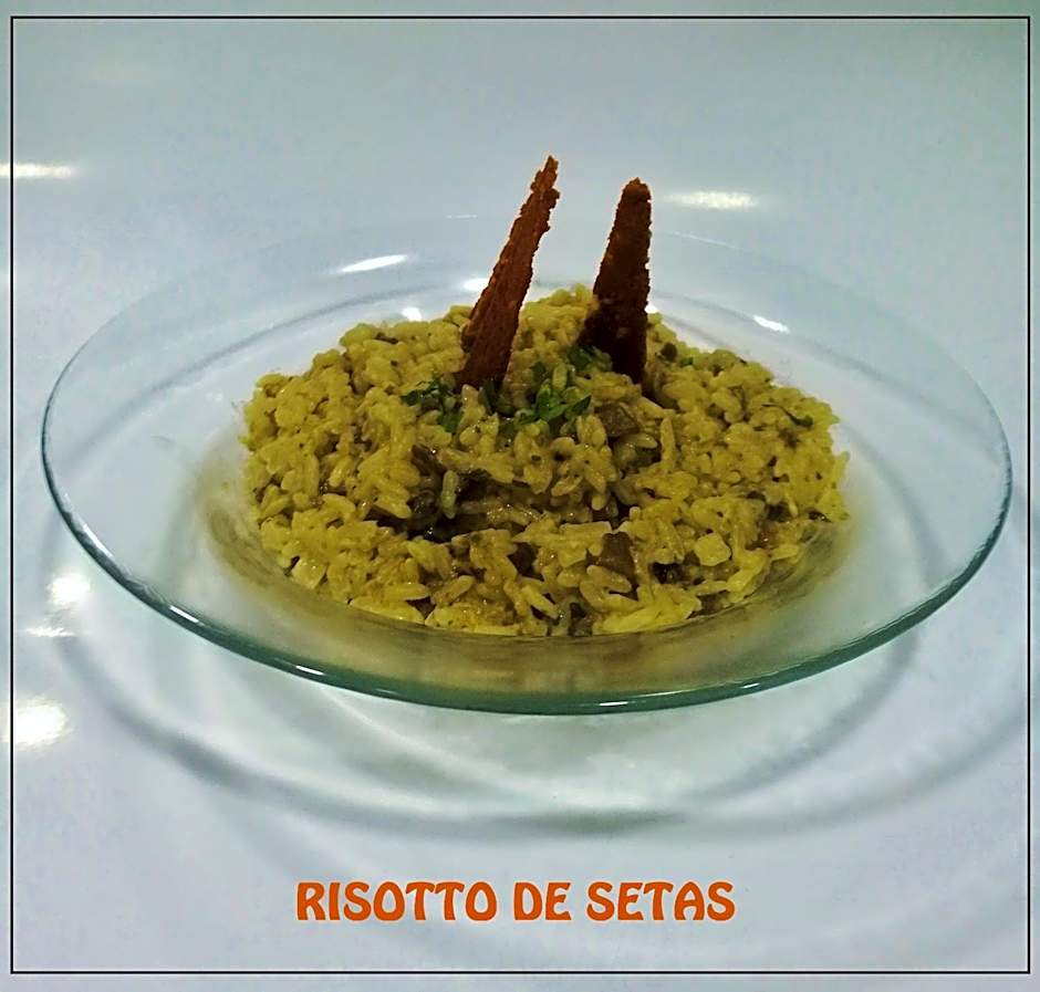 Posada Del Camino Real