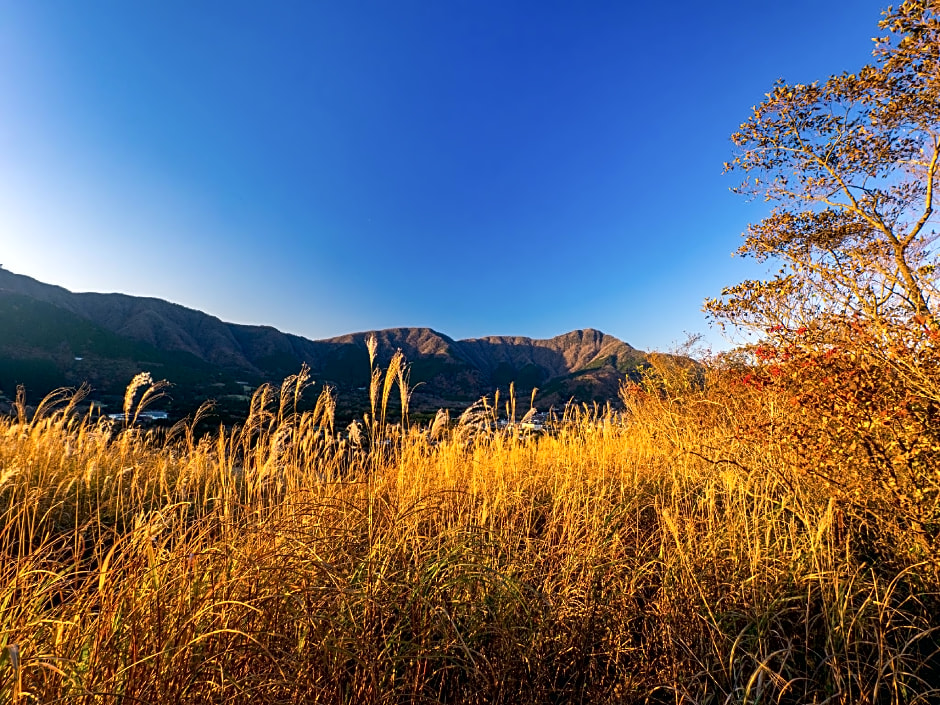 Fuji-Hakone Guest House