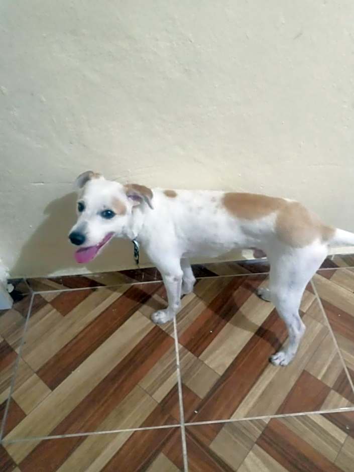 Suíte maravilhosa próxima da UFPA e do Centro