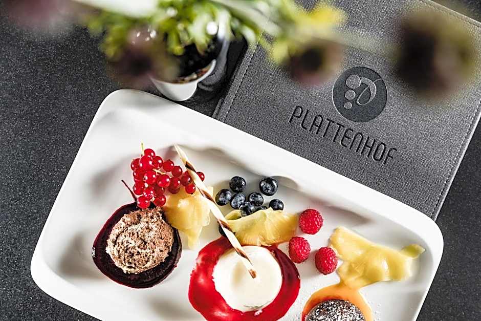 Hotel Plattenhof