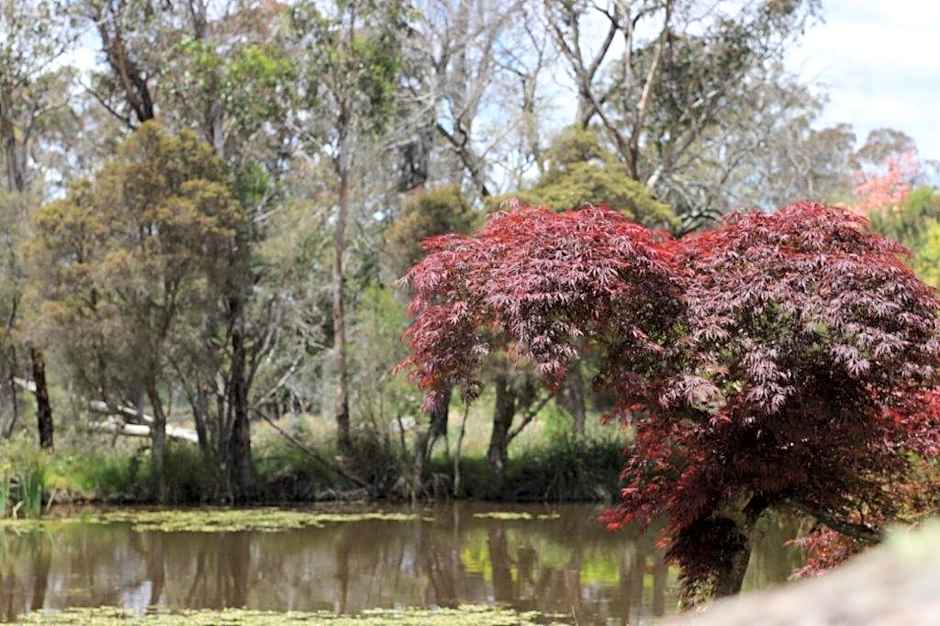 Scribbly Farm, Boutique Southern Highlands Accommodation