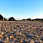 Iona Pods