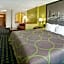 Super 8 by Wyndham Monee