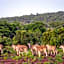 Elephants Crossing