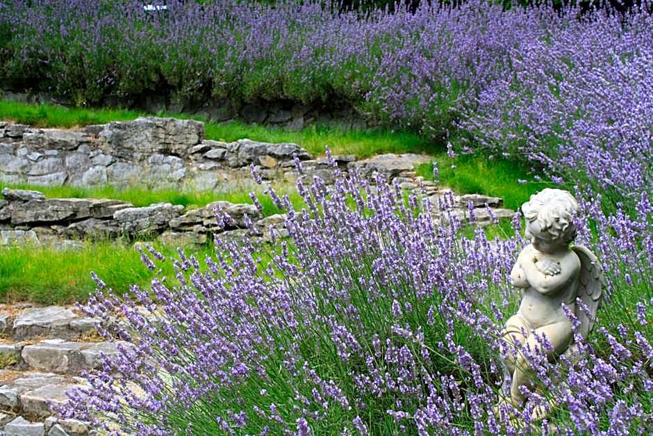 Bradleys Garden Bed and Breakfast