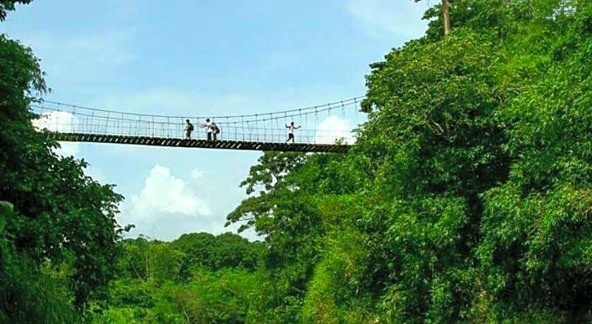 Jeanine's Travellers Inn by RedDoorz