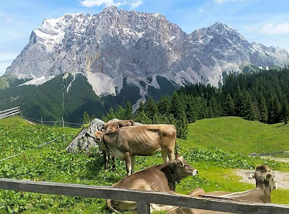 Das Halali - dein kleines Hotel an der Zugspitze