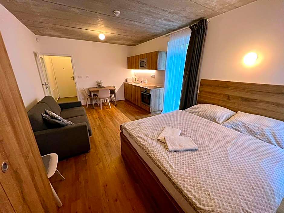 Apartmán pod sjezdovkou