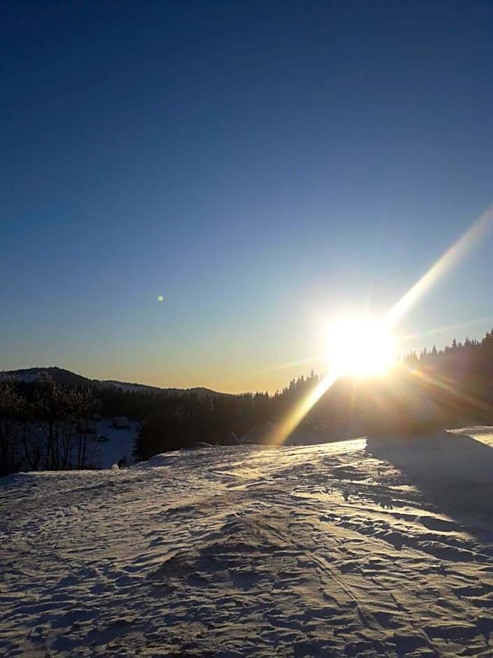 Cabana Poiana Dealul Frumos