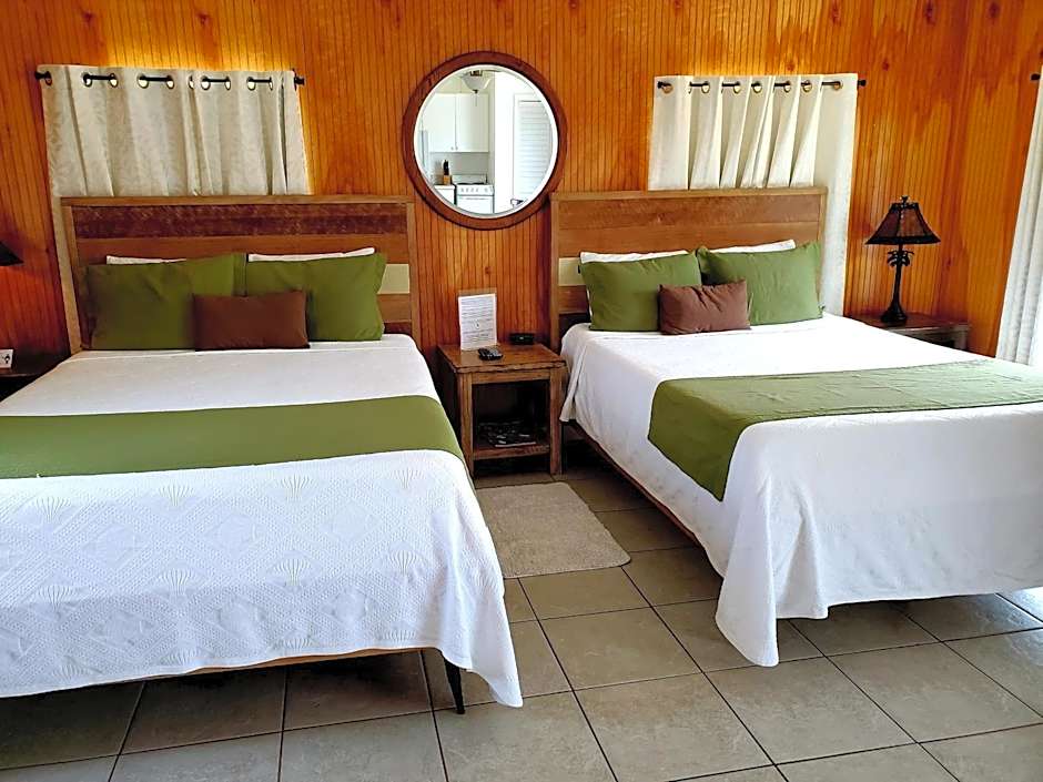 Foto 1 de 5 de Studio 1 King Bed with Sofabed