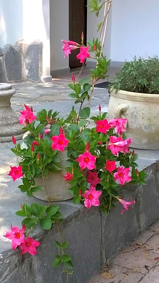 Costa Morroni