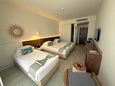 Triple Room with View
