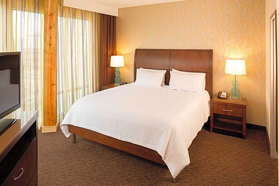 Hilton Garden Inn Sioux Falls Downtown