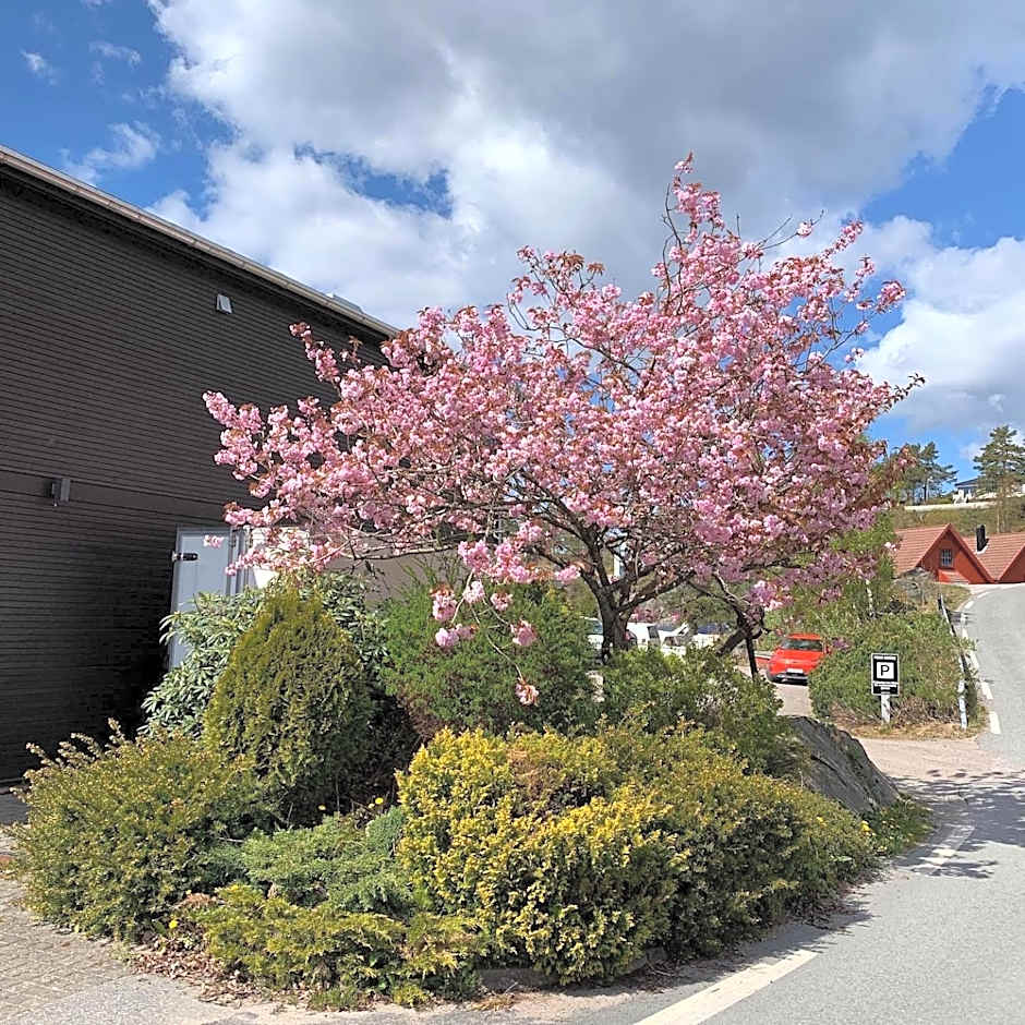 Trysnes Brygge