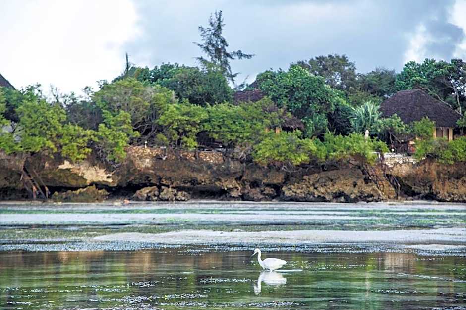 The Island - Pongwe Lodge