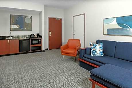 One-Bedroom King Suite with Sofa Bed - Non-Smoking