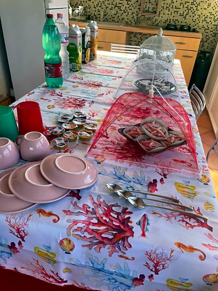 Centro estivo Il Piccolo Paradiso