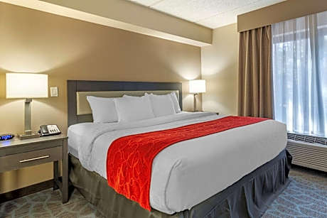 King Room with Sofa Bed - Accessible/Non Smoking