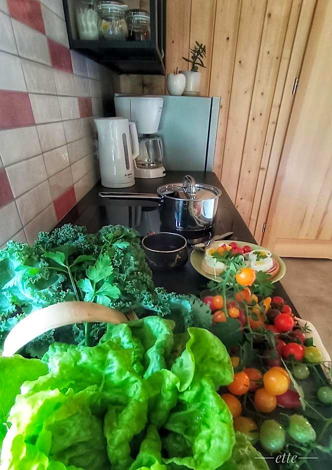 Kwitnące Jabłonie. Całoroczne Domki Wypoczynkowe