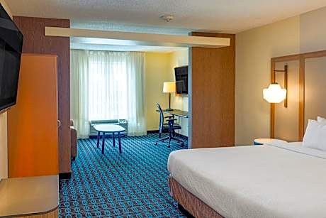 Suite, 1 King Bed with Sofa bed (1 King Bed and 1 Double Sofa Bed)