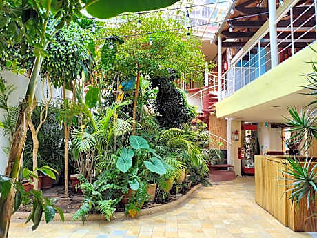 Standard Double Room with Two Double Beds