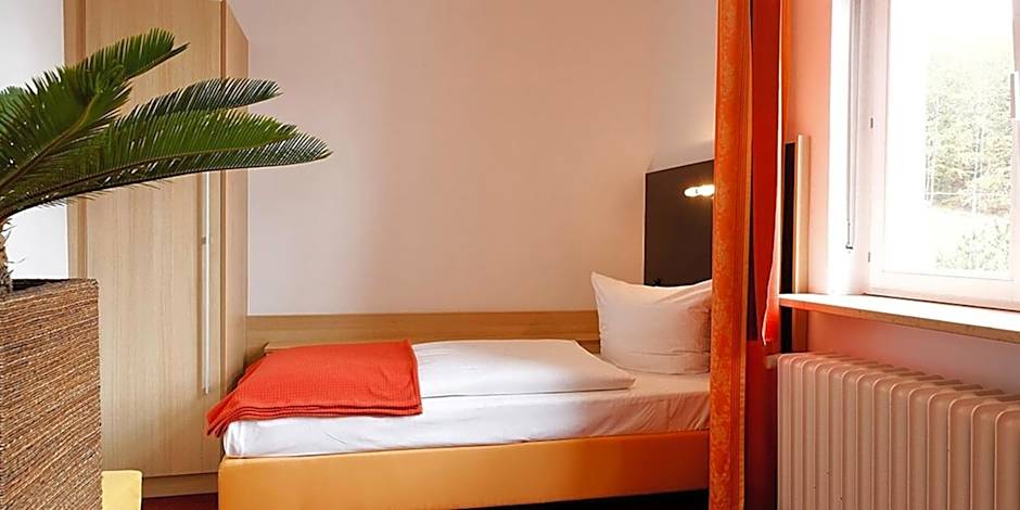 Michel Hotel Franziskushöhe Lohr am Main
