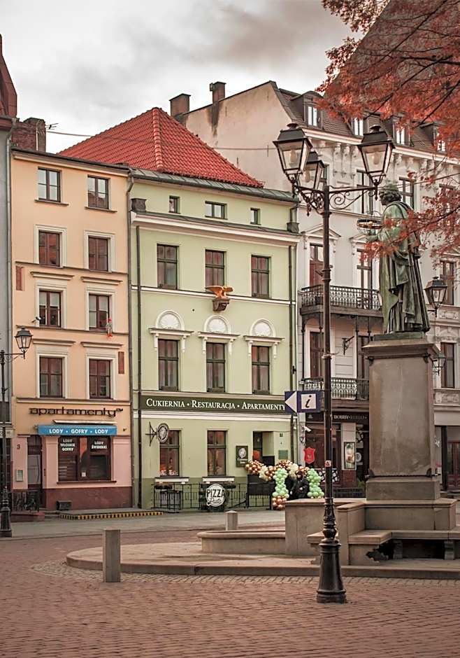 Apartamenty Sowa Toruń