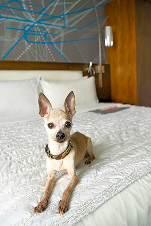 Le Meridien Atlanta Perimeter