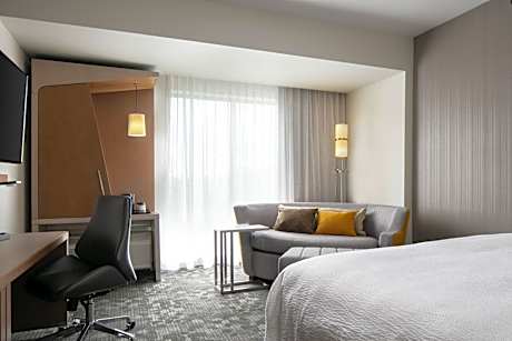 Guest room, 1 King, Sofa bed, City view